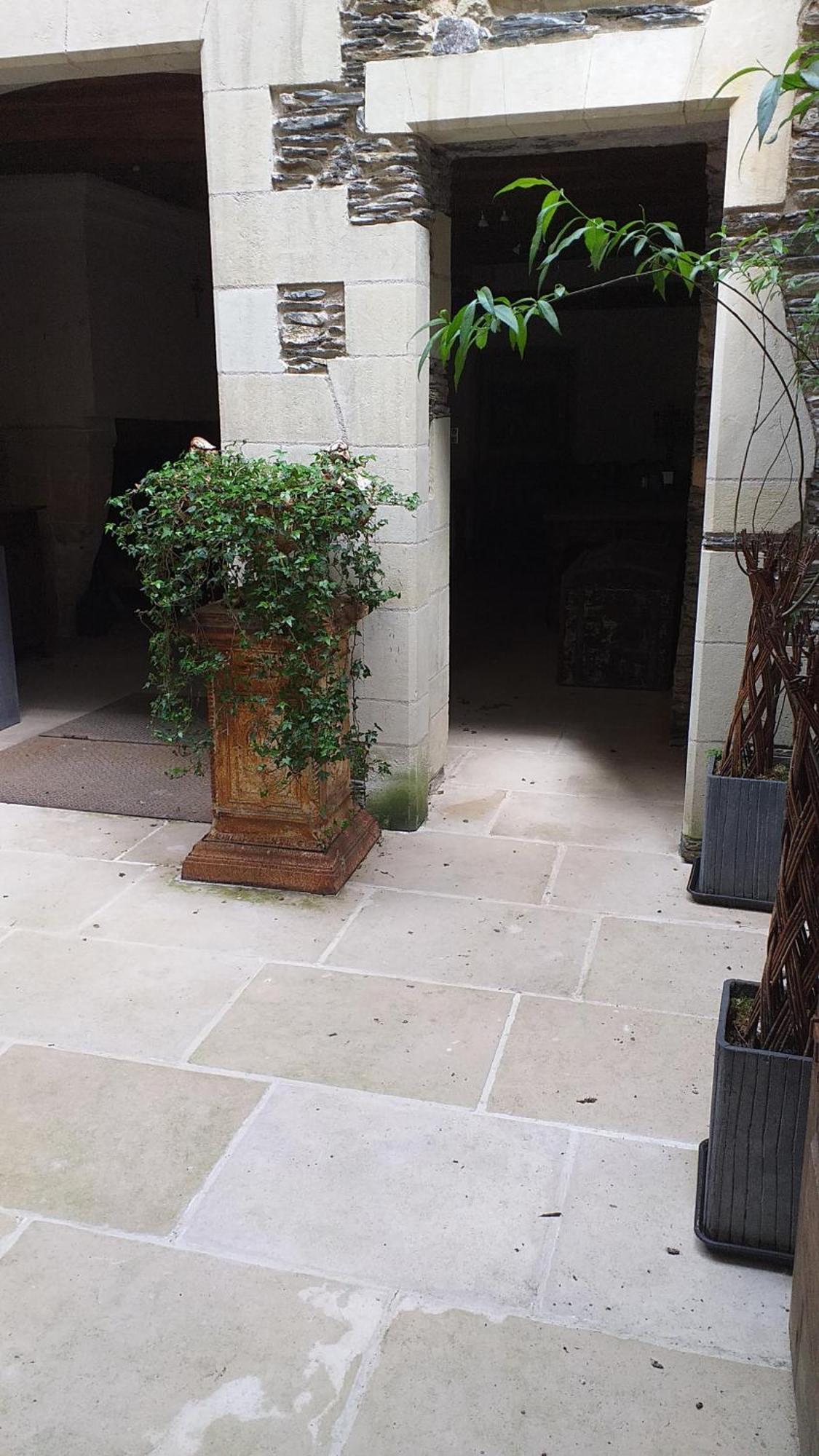 2 Pieces Et Jardin Hyper Centre * Angers